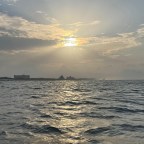 THE KUDZU: Death of a Popular Poet